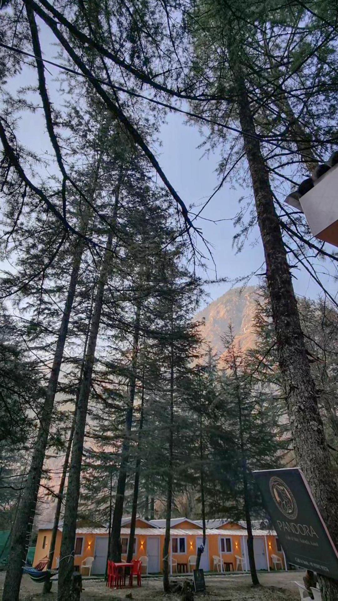 Pandora Riverside Cafe & Stay Kasol Eksteriør billede
